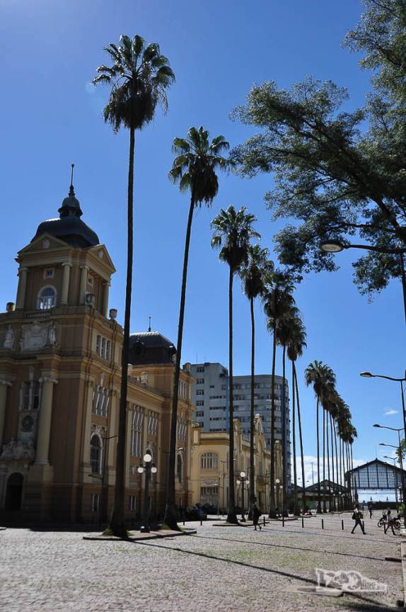 As centenárias palmeiras-da Califórnia, na Praça da Alfândega, em Porto Alegre, no Rio Grande do Sul